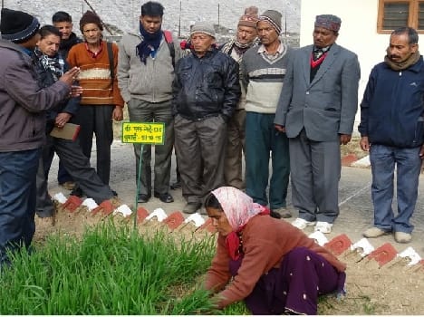 Training of farmers in the three days beginning Kafligar